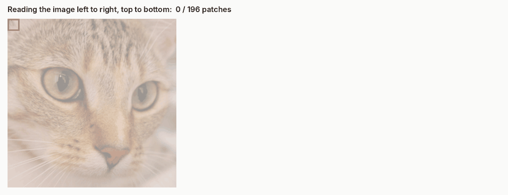Animation: the cat image is read patch by patch, and each patch joins a growing row of tokens