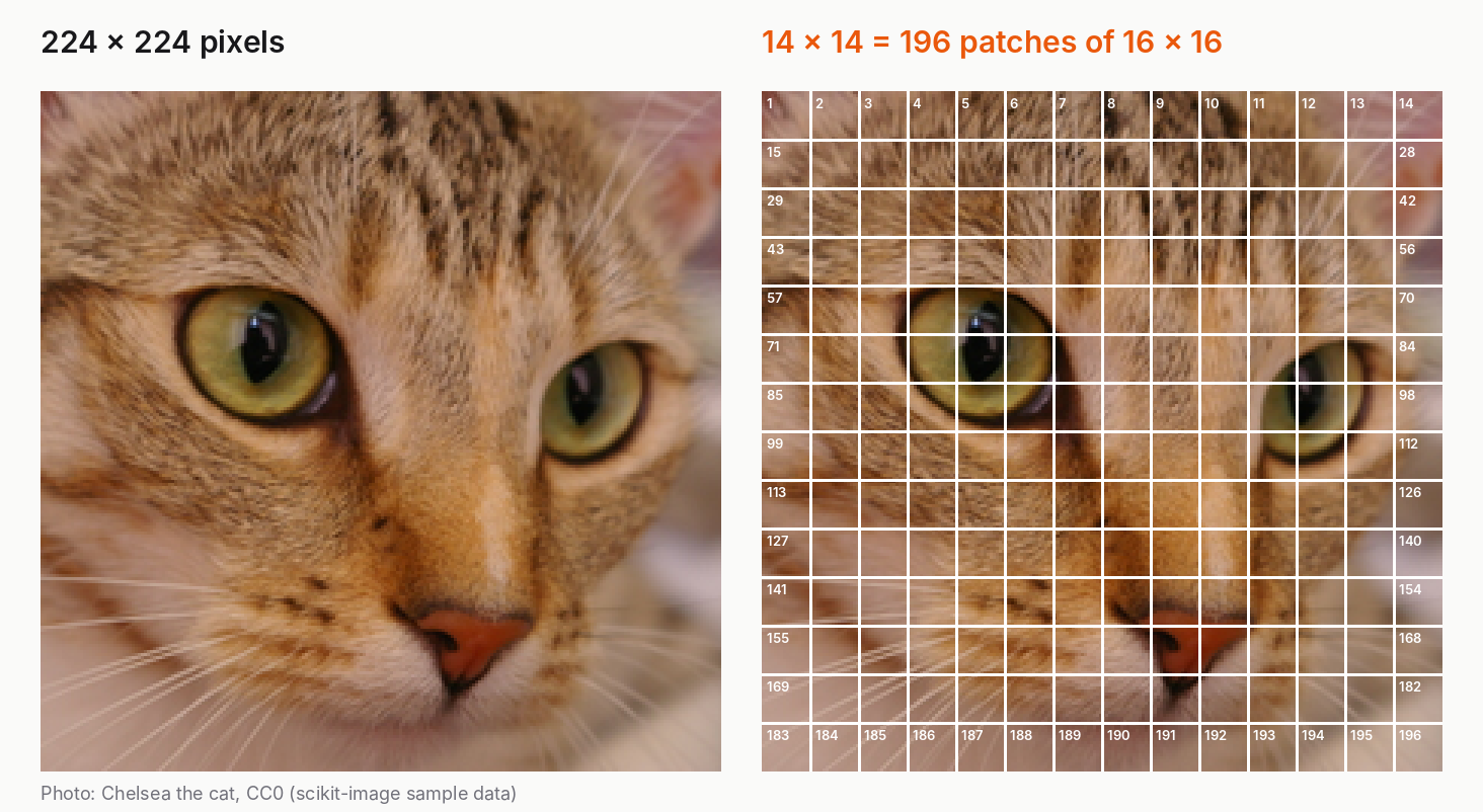 A 224×224 cat photo next to the same photo cut into a 14×14 grid of 16×16-pixel patches, numbered 1 to 196